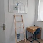 Apartment Stardust